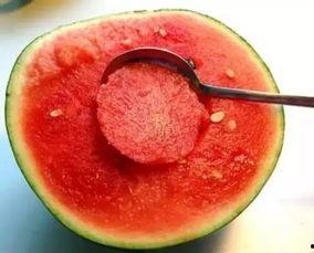 娱乐吃瓜酱颜料,揭秘颜料背后的娱乐风云