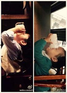 微博娱乐圈吃瓜群众